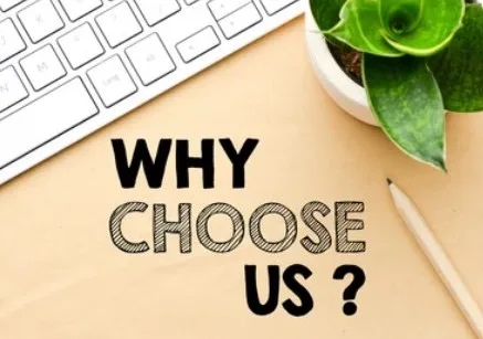 mold remediation and cleaning services